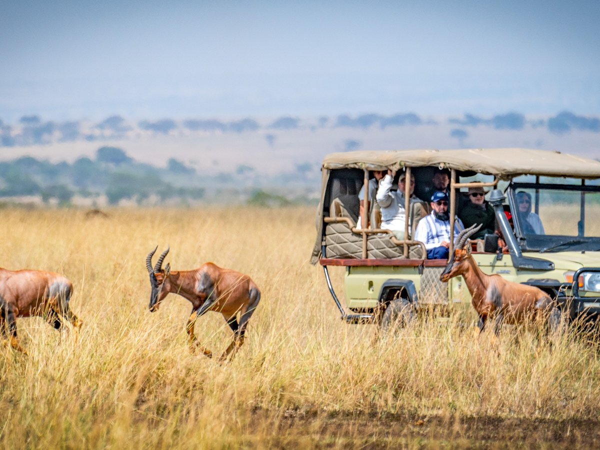Safari guests watching topi antelope from a safari vehicle