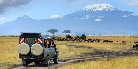 Private Vs Group Safari in Kenya