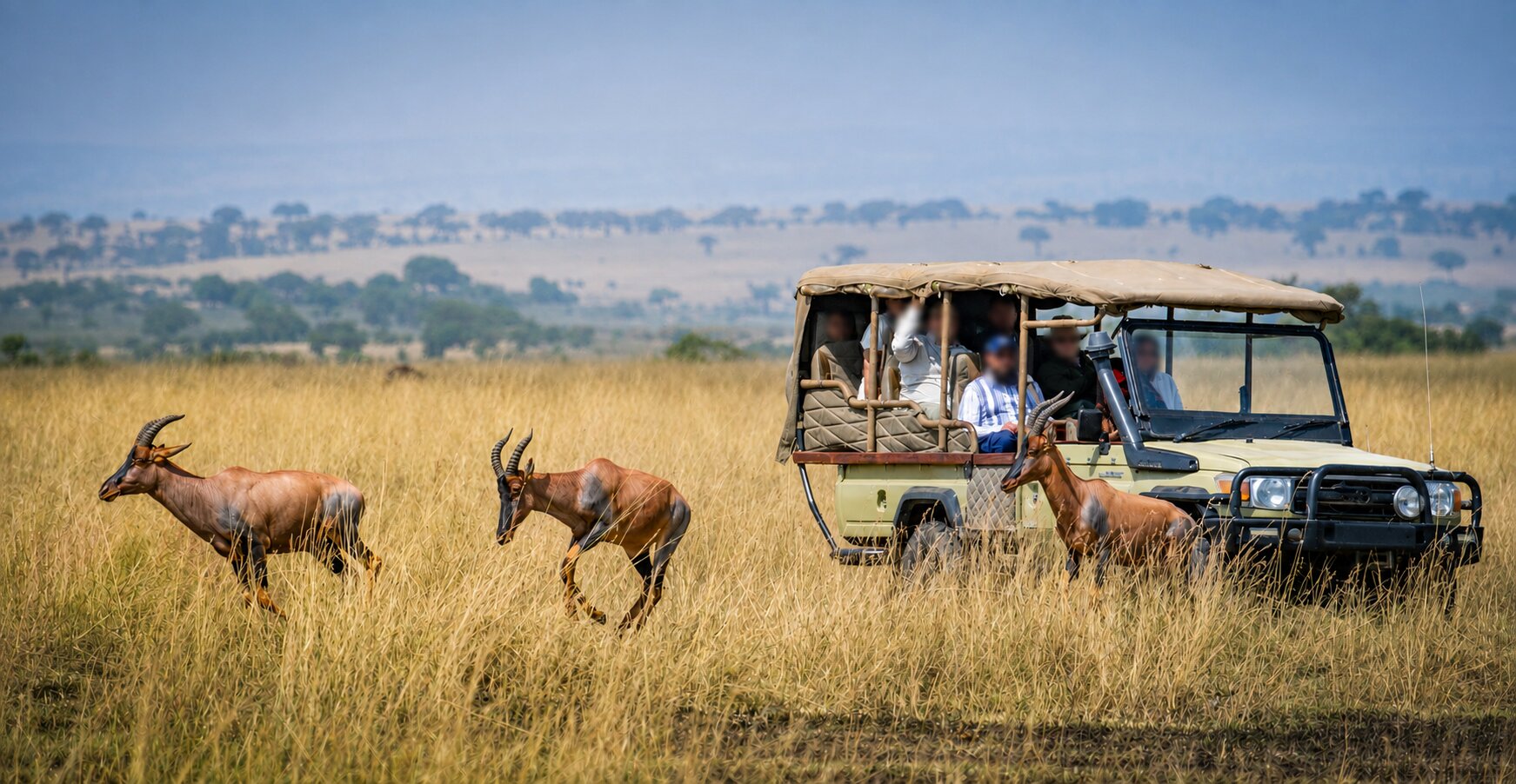 Safari guests watching topi antelope from a game-viewing vehicle