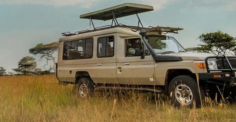 7-seat 4x4 safari Land Cruiser with pop-up roof in the savannah